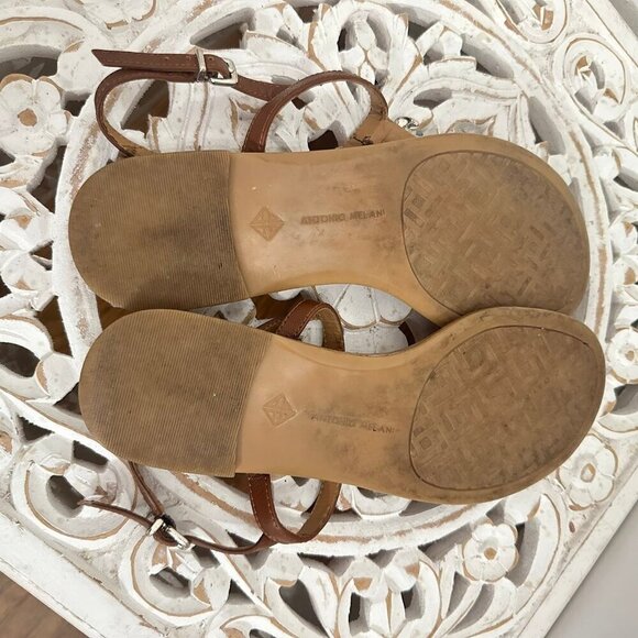 Antonio Melani turtle sandals - Picture 4 of 5